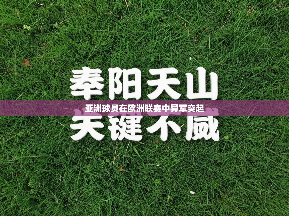 亚洲球员在欧洲联赛中异军突起 第1张