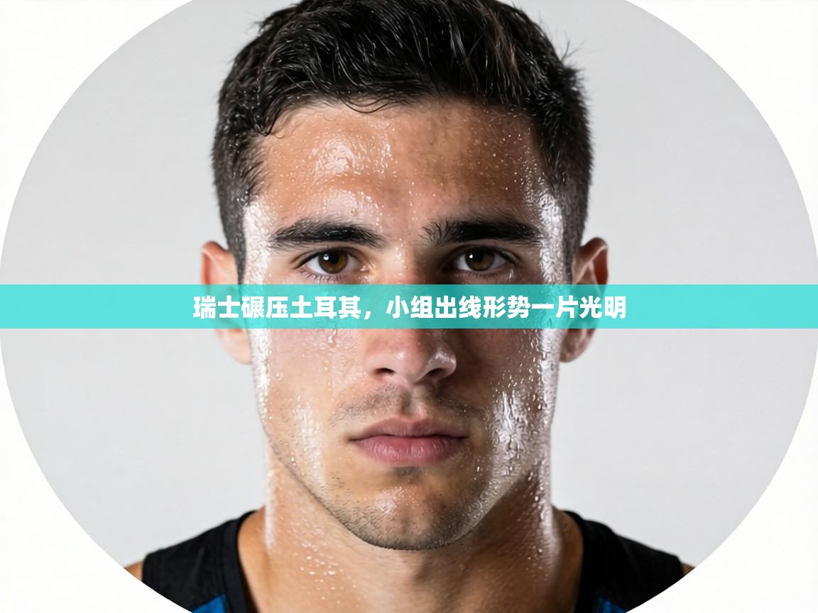 瑞士碾压土耳其，小组出线形势一片光明  第1张
